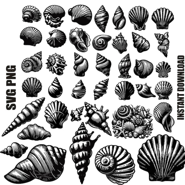 Seashell svg, seashell silhouette, sea shell svg, shellfish svg, beach shell svg, cut file, design, download, clipart for cricut Commercial