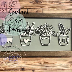 Succulents In A Frame