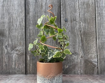 Pequeño enrejado / soporte de planta de cobre / negro / plata hecho a mano - Hoja, espiral, arco, cactus, vid, corazón y círculo - Perfecto para plantas de interior