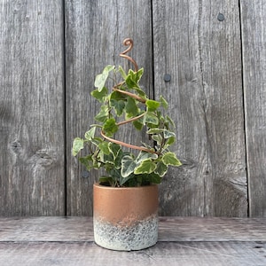 Small handmade copper / black / silver plant trellis / stand - Leaf, spiral, arch, cactus, vine, heart & circle - Perfect for houseplants