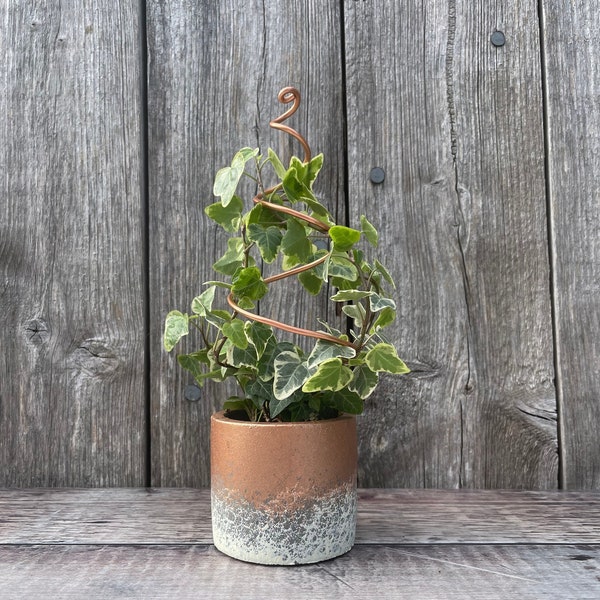 Small handmade copper / black / silver plant trellis / stand - Leaf, spiral, arch, cactus, vine, heart & circle - Perfect for houseplants