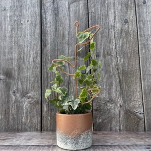 Small handmade copper / black / silver plant trellis / stand - Leaf, spiral, arch, cactus, vine, heart & circle - Perfect for houseplants