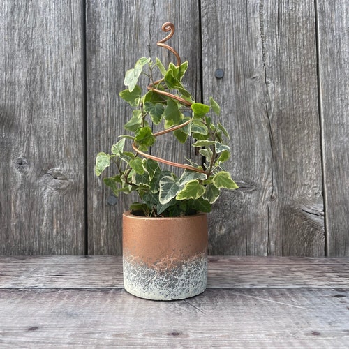 Small handmade copper / black / silver plant trellis / stand - Leaf, spiral, arch, cactus, vine, heart & circle - Perfect for houseplants