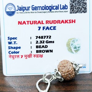 Lab Certified 7 Face Rudraksha Beads Seven Mukhi Rudraksh 100% Natural Nepal Origin 13 mm Beads Size