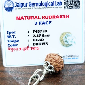 Lab Certified 7 Face Rudraksha Beads Seven Mukhi Rudraksh 100% Natural Nepal Origin 14 mm Beads Size