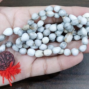 May include: A white seed mala with a red and brown rudraksha bead tassel. The mala is made of natural seeds and is used for meditation and prayer.