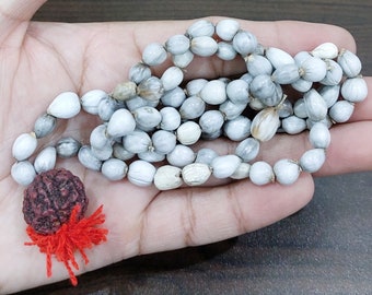 May include: A white seed mala with a red and brown rudraksha bead tassel. The mala is made of natural seeds and is used for meditation and prayer.