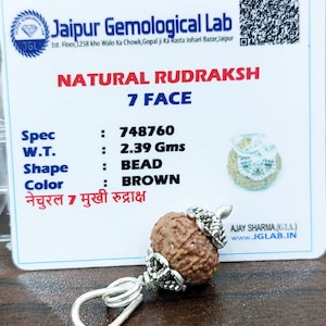 Lab Certified 7 Face Rudraksha Beads Seven Mukhi Rudraksh 100% Natural Nepal Origin 13 mm Beads Size
