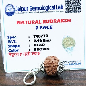 Lab Certified 7 Face Rudraksha Beads Seven Mukhi Rudraksh 100% Natural Nepal Origin 13 mm Beads Size