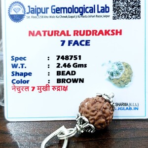 Lab Certified 7 Face Rudraksha Beads Seven Mukhi Rudraksh 100% Natural Nepal Origin 14 mm Beads Size