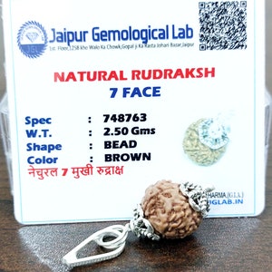 Lab Certified 7 Face Rudraksha Beads Seven Mukhi Rudraksh 100% Natural Nepal Origin 14 mm Beads Size
