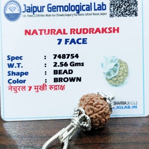 Lab Certified 7 Face Rudraksha Beads Seven Mukhi Rudraksh 100% Natural Nepal Origin 13 mm Beads Size
