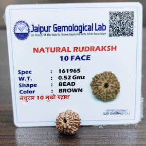 Lab Certified 10 Mukhi Rudraksha Beads Ten Face Rudraksh 100% Natural Nepal Origin 8 mm Beads Size