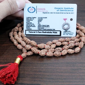 Lab Certified 108+1 Beads 2 Face Rudraksha Mala Lord Shiva Rosary Japa Meditation Healing Necklace 55 cm Length Size Energized
