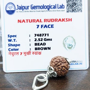 Lab Certified 7 Face Rudraksha Beads Seven Mukhi Rudraksh 100% Natural Nepal Origin 13 mm Beads Size