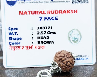Labbcertifierad | 7 Mukhi Rudraksha-hänge | Halsband med andligt Nepal-ursprung av pärlor