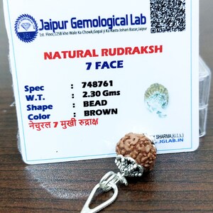 Lab Certified 7 Face Rudraksha Beads Seven Mukhi Rudraksh 100% Natural Nepal Origin 13 mm Beads Size