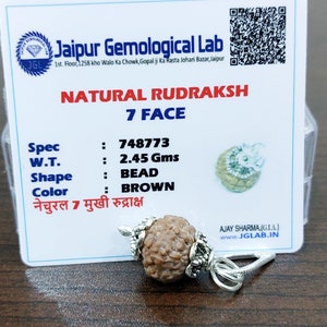 Lab Certificate 7 Mukhi Rudraksha Pendant 7 Face Rudraksha Pendant 200% Original Nepal Origin 13 mm Beads Size