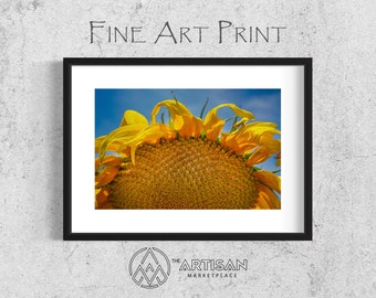 Sunflowers for Ukraine (5) • Fine Art Photography • Canvas Print • Landscape Photography • Wall Decor • Wall Art • Artisan Marketplace