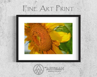 Sunflowers for Ukraine (4) • Fine Art Photography • Canvas Print • Landscape Photography • Wall Decor • Wall Art • Artisan Marketplace