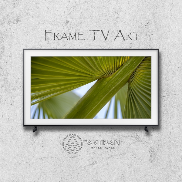 Samsung Frame TV Art | Frame TV Art | Samsung Art TV | Digital Download | Original Art | Dwarf Palmetto 3