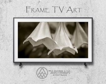 Flor de trompeta de ángel: Arte para TV con marco Samsung (Descarga digital)