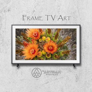 Samsung Frame TV Art | Frame TV Art | Samsung Art TV | Digital Download | Original Art | Barrel Cactus