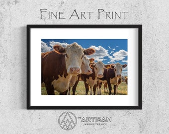 Hereford Cattle Fine Art Print: Farm Landscape Photography