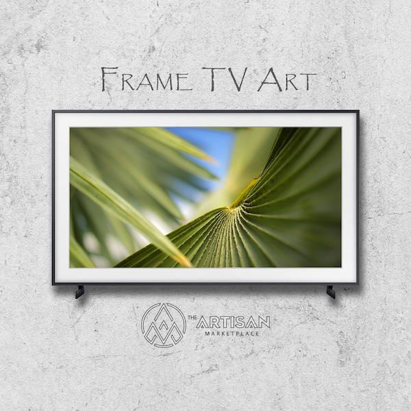 Samsung Frame TV Art | Frame TV Art | Samsung Art TV | Digital Download | Original Art | Dwarf Palmetto