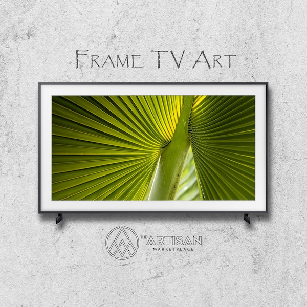 Samsung Frame TV Art | Frame TV Art | Samsung Art TV | Digital Download | Original Art | Dwarf Palmetto 4
