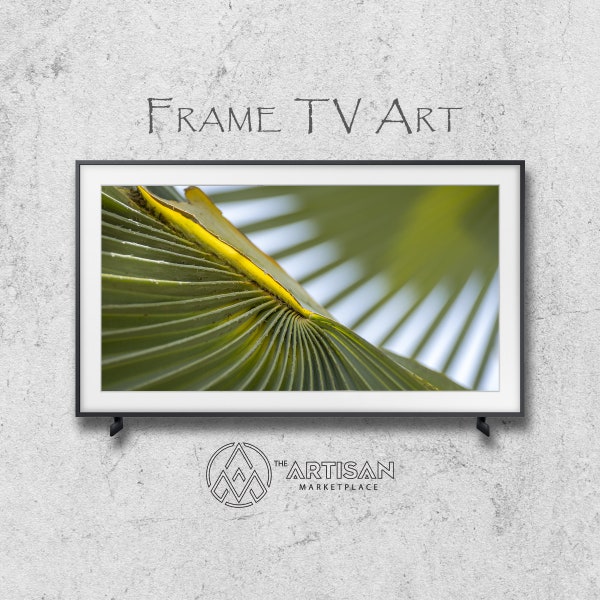 Samsung Frame TV Art | Frame TV Art | Samsung Art TV | Digital Download | Original Art | Dwarf Palmetto 2