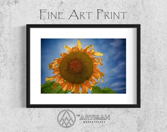 Sunflowers for Ukraine (2) • Fine Art Photography • Canvas Print • Landscape Photography • Wall Decor • Wall Art • Artisan Marketplace