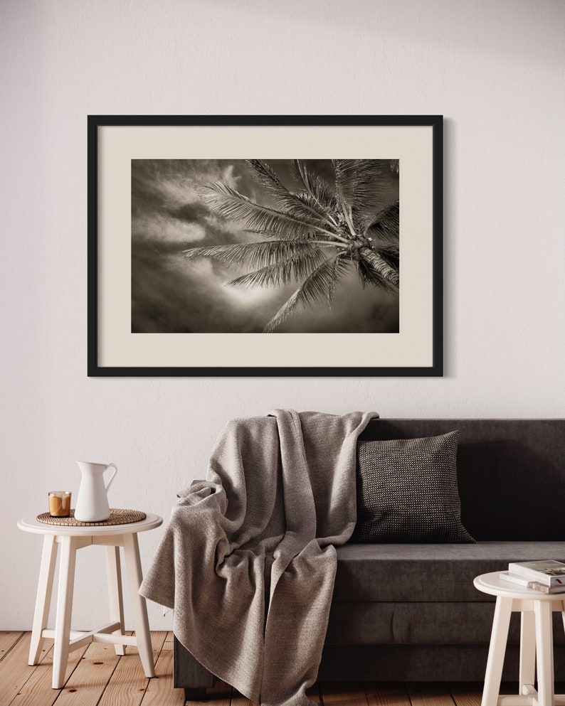 Palm Tree Fine Art Photography Canvas Print Landscape Photography Wall