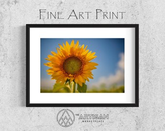 Sunflowers for Ukraine (7) • Fine Art Photography • Canvas Print • Landscape Photography • Wall Decor • Wall Art • Artisan Marketplace