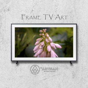 Samsung Frame TV Art | Frame TV Art | Samsung Art TV | Digital Download | Original Art | Hosta Flower