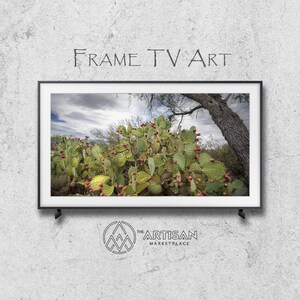 Samsung Frame TV Art | Frame TV Art | Samsung Art TV | Digital Download | Original Art | Pear Cactus