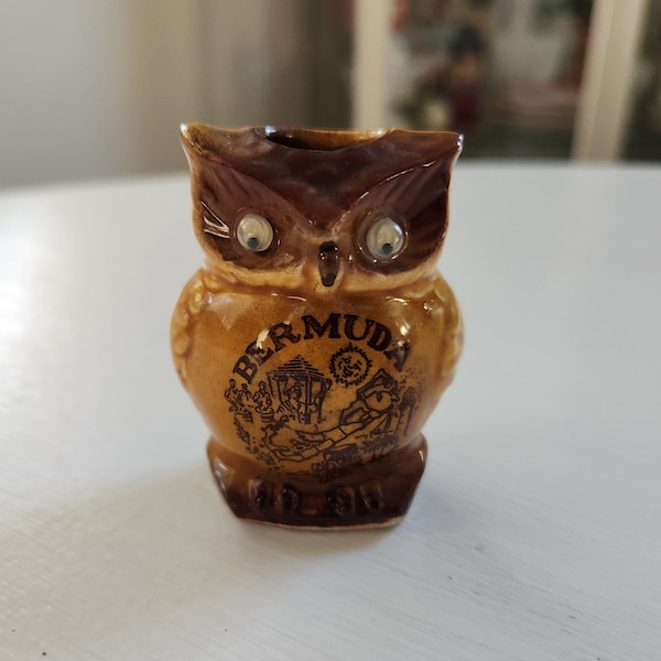 Vintage Owl Toothpick Holder --  Bermuda Souenir Owl Googy Eyed Toothpick Holder -- Owl Knick Knack -- Vintage Toothpick Holders Owl Gifts