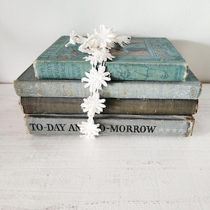 May include: A stack of four antique books in varying shades of blue, gray, and brown. A white, daisy-shaped lace garland drapes over the books. The bottom book reads "TO-DAY AND -MORROW" in black text.