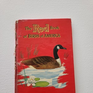 The Red Book Of Birds Of America by Frank G. Ashbrook -- 1954 Vintage Pocket Nature Guide --  Nature Lover Gift -- Bird Reference Guide