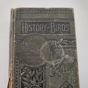 Antique The History Of Birds Their Varieties & Oddities by Rev. W. Bingley -- Rare Antique Bird Book -- Line Engraved Bird Illustrations