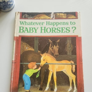 Whatever Happens To Baby Horses by Bill Hall -- 1972 Vintage Children&#39;s Book -- Picture Book -- Horse Storybook -- Animal Stories