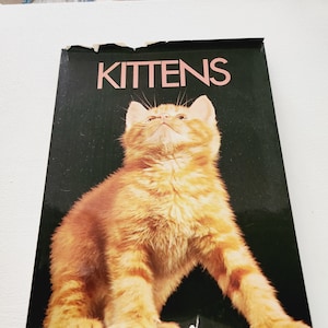 Kittens by Pat Taylor -- 1972 Vintage Cat Books -- Book About Kittens -- Books For Cat Lovers -- Kitten Feline Reference Books
