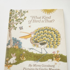 What Kind Of Bird Is That by Mirra Ginsburg -- 1973 Vintage Children&#39;s Book -- Picture Books -- To Read Books -- Bird Fiction -- Old Books
