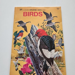 May include: Vintage "Birds" book cover with illustrations of various birds, including a red-headed woodpecker, geese, and a bluebird. The cover is yellow with the title "BIRDS" in large letters and the text "A Golden Exploring Earth Book".