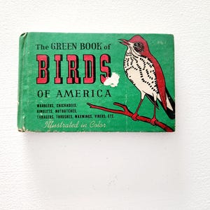 The Green Book Of Birds Of America by Frank Ashbrook -- 1941 Antique Pocket Nature Guide --  Nature Lover Gift -- Bird Reference Guide