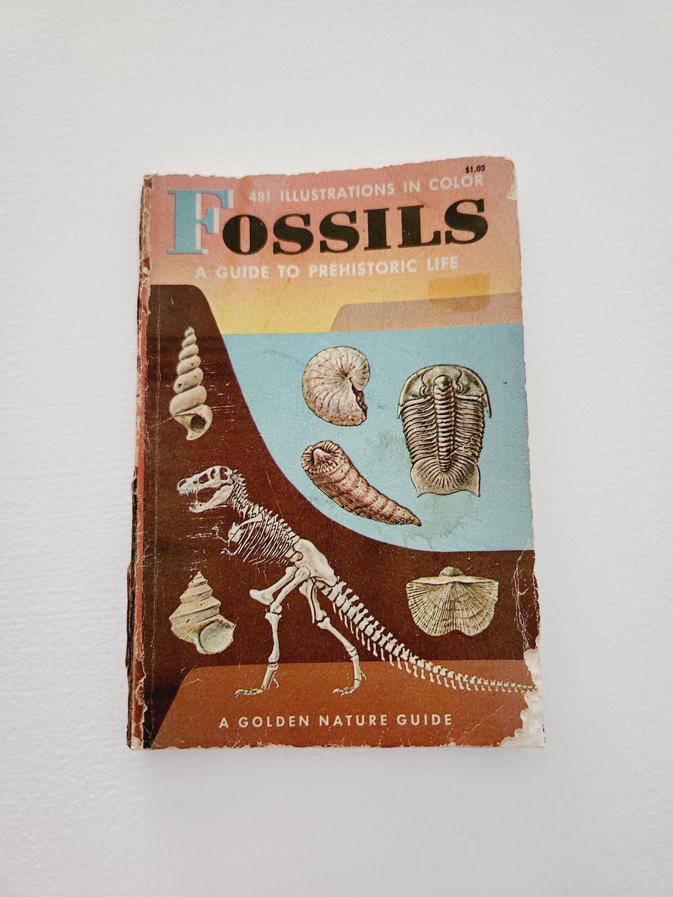 Fossils A Golden Nature Guide -- 1962 Vintage Guide To Prehistoric Life -- Vintage Fossil Dinosaur Handbook -- Science Book