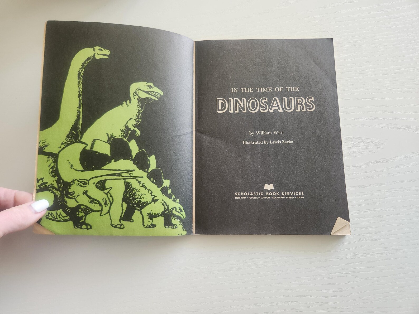 Vintage Dinosaur Book –