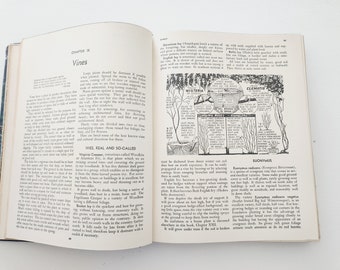 Vintage Vines Illustration, Antique Garden Book Plate Print
