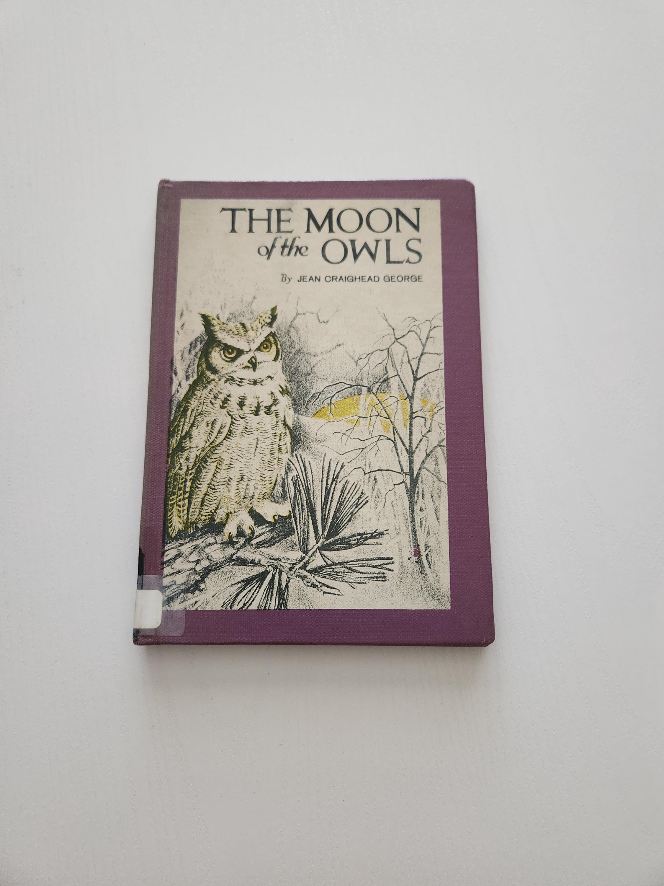 Vintage Children's Book: The Moon Of The Owls, Illustrated by Jean Zallinger