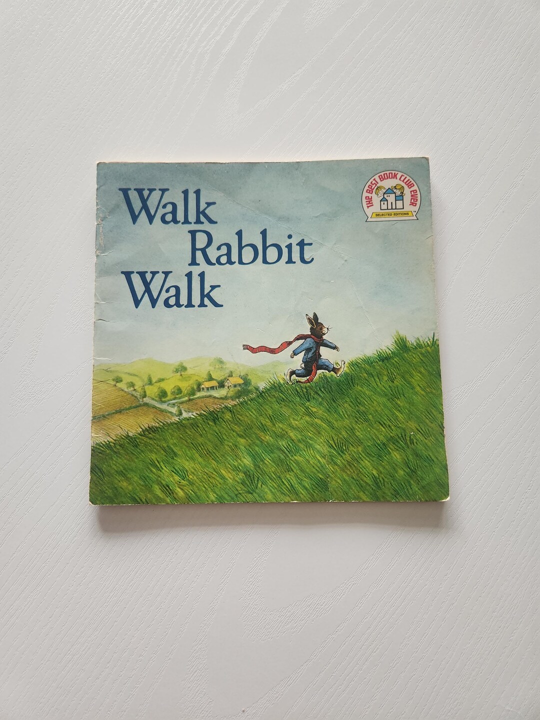 Walk Rabbit Walk { 1977 } Vintage Children's Picture Book -- Children ...
